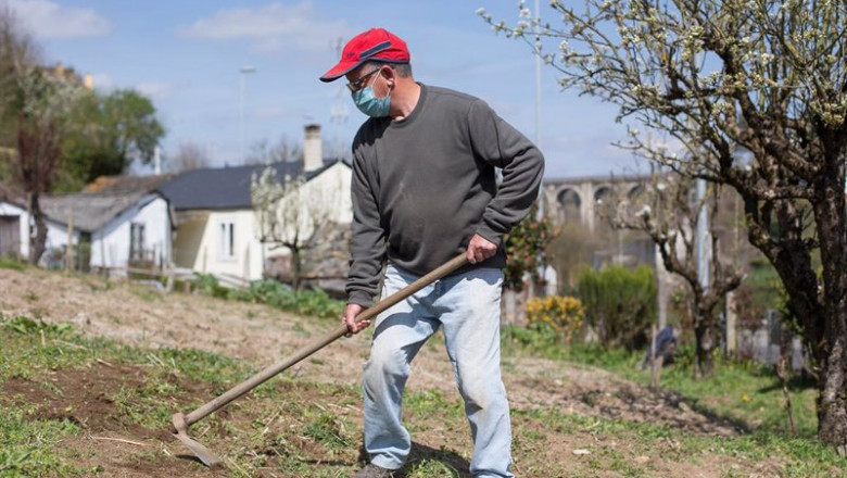 Archivo - Un agricultor en una finca | Carlos Castro - Archivo ep archivo un agricultor en una finca