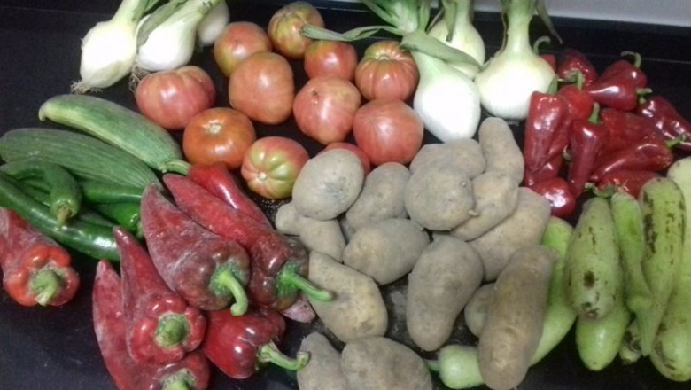 Archivo - Verduras de huerta. | EUROPA PRESS - Archivo ep archivo - verduras de huerta