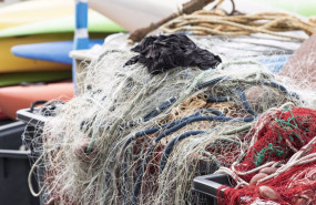 ep artes de pesca en un puerto