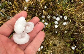 ep granizo caido este viernes en un campo de monegrillo zaragoza