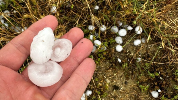 ep granizo caido este viernes en un campo de monegrillo zaragoza