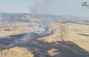 ep un incendio en brazatortas obliga a cortar la circulacion del tren entre puertollano y venta la