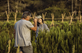 future harvest 1 
