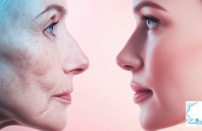 image articulo image articulo