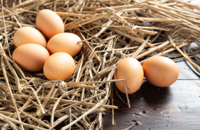pienso gallinas ponedoras 20260902151724 pienso gallinas ponedoras 20260902151724