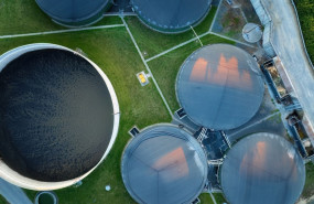 shutterstock 2271560533