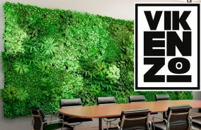 vikenzo nature 20240412154254 vikenzo nature 20240412154254