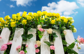 1625571424 vallas madera