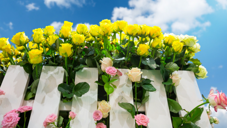 1625571424 vallas madera