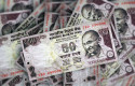 dl indian rupee india inr currency cash reserve bank of india cash pb