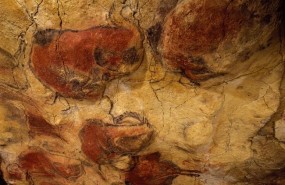 ep bisontesaltamira