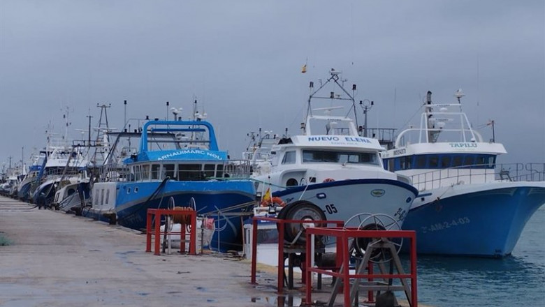 Flota pesquera en Santa Pola | CEPESCA ep flota pesquera en santa pola