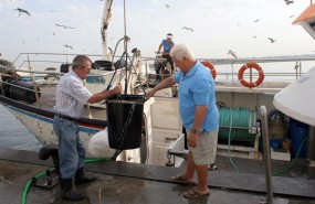 ep imagenpescadores andaluces
