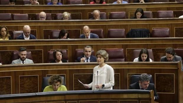 ep la ministra isabel garcia tejerina ensesioncontrolgobierno