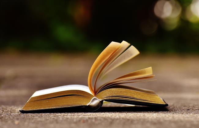 Literatura | PIXABAY ep literatura