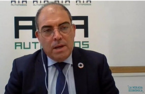 ep lorenzo amor durante su intervencion telematica