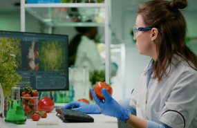 ingal ingeniera proyecta la primera planta preindustrial para la generacin de alimentos de protena alternativa en espaa ingal ingeniera proyecta la primera planta preindustrial para la generacin de alimentos de protena alternativa en espaa