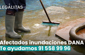 leglitas ayuda legal dana 1 1 20241105125728 leglitas ayuda legal dana 1 1 20241105125728