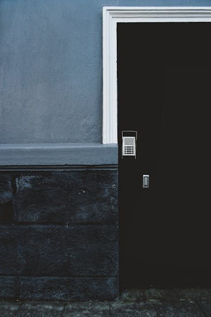 pexels pexels photo 1703563