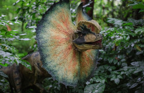 1270394 1773137207614