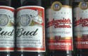 budweiser budweiser