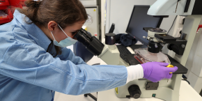 des-chercheurs-travaillent-a-trouver-un-traitement-contre-le-nouveau-coronavirus-covid-19 des-chercheurs-travaillent-a-trouver-un-traitement-contre-le-nouveau-coronavirus-covid-19