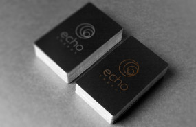 dl echo energy aim oil gas exploration development production latin america santa cruz sur logo dl echo energy aim oil gas exploration development production latin america santa cruz sur logo