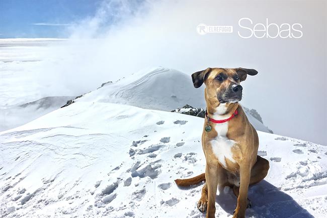 Calendario solidario 2018 de la protectora 'El Refugio' | EL REFUGIO ep calendario solidario 2018la protectora refugio