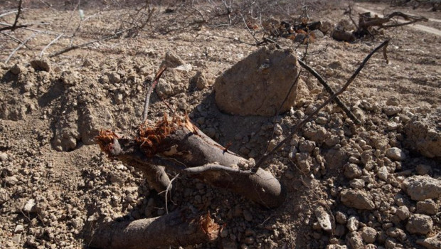 ep detalles de la tierra seca en murcia por la sequia