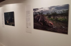 ep exposicion wildlife photographer of the year