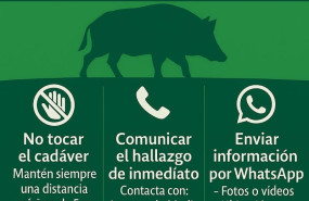 ep la junta de andalucia refuerza medidas de prevencion frente a la peste porcina