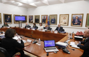 ep la vicepresidentagobiernoministraigualdad carmen calvo presidereunionpatronatola fundacion internacionalpara iberoamericaadministracionpoliticas publicas fiiapp entreasistentes la ministrajusticia dolores