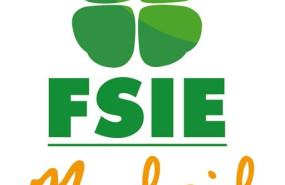 fsie fsie