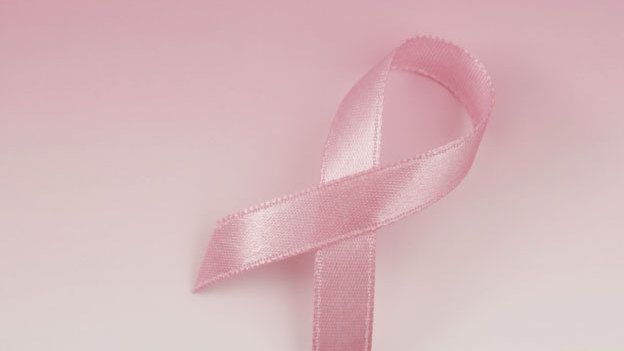 Lazo rosa Lazo rosa