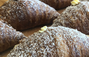 whatsapp image 2024 04 25 at 121438 3 whatsapp image 2024 04 25 at 121438 3