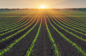 1624465593 paisaje rural