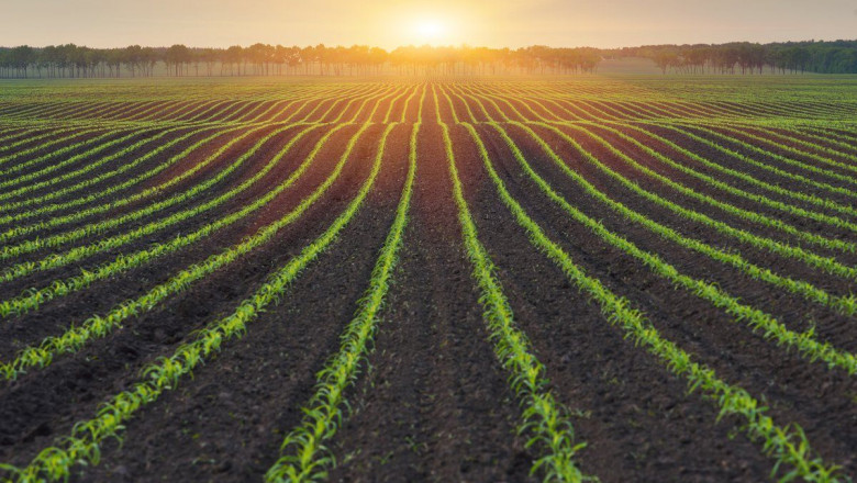 1624465593 paisaje rural