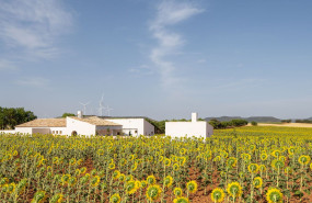 220722 cano bardin palomares 030 