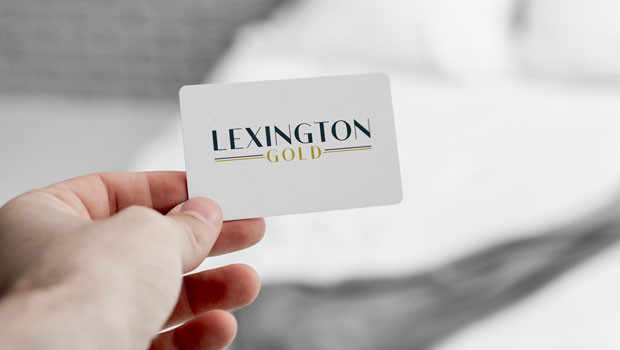 dl lexington gold aim north south carolina carolinas exploration development miner precious metals logo
