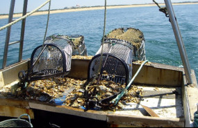 ep archivo   pesca barcos pesqueros