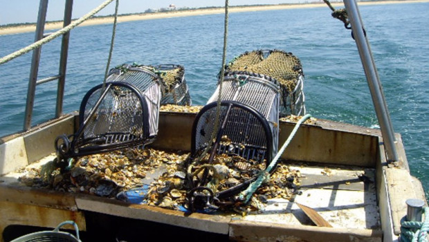 ep archivo   pesca barcos pesqueros