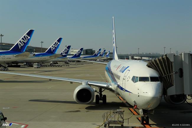Aviones de la aerolínea ANA | ANA - Archivo ep avionesla aerolinea ana