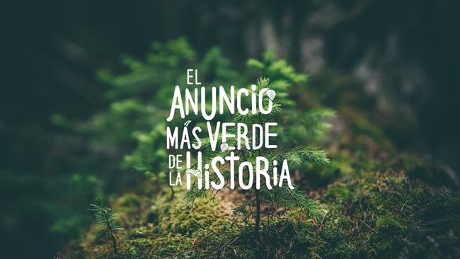 ep campanareforestacionbosques sostenbiles