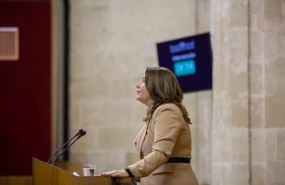 ep carmen crespo portavoz parlamentariapp-a durantedebateinvestidura