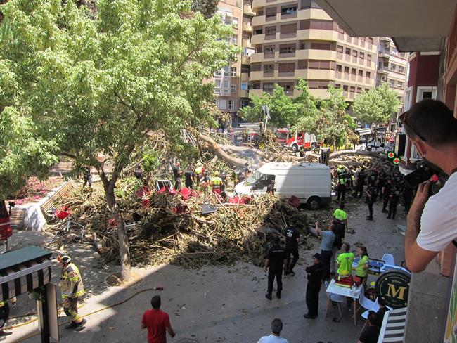 Imagen De Los Trabajos Para Retirar Las Ramas Del Ficus De Santo Domingo | EUROPA PRESS ep imagenlos trabajosretirarramasficussanto domingo