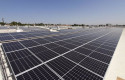 ep paneles fotovoltaicos instalados por iberdrola en una industria