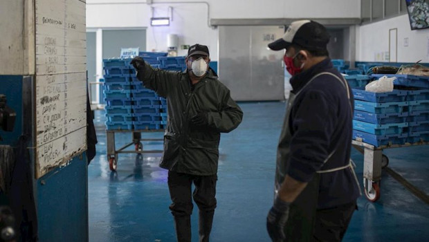 ep pescadores protegidos con mascarillas y guantes durante la subasta en la lonja pesquera de la