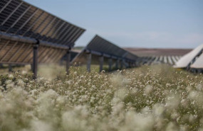 ep proyecto solar de lightsource bp ep proyecto solar de lightsource bp