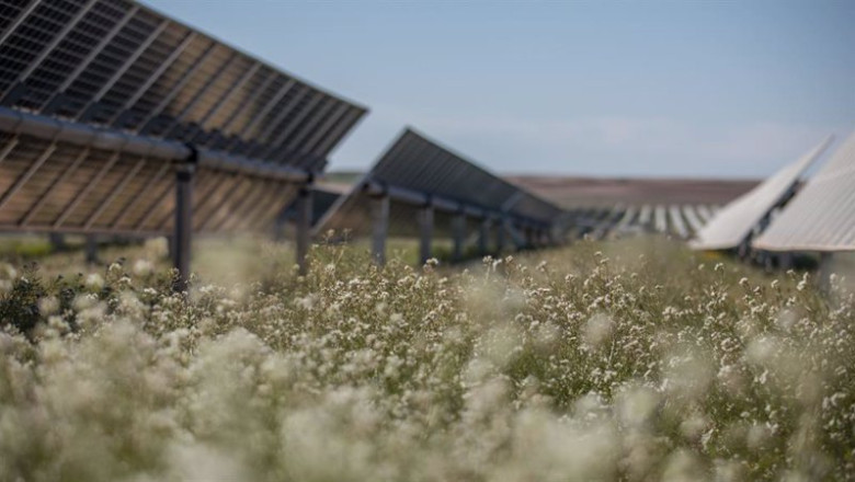 ep proyecto solar de lightsource bp ep proyecto solar de lightsource bp