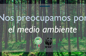 1570431331 wwf 100 empresas por los bosques escoem 1570431331 wwf 100 empresas por los bosques escoem